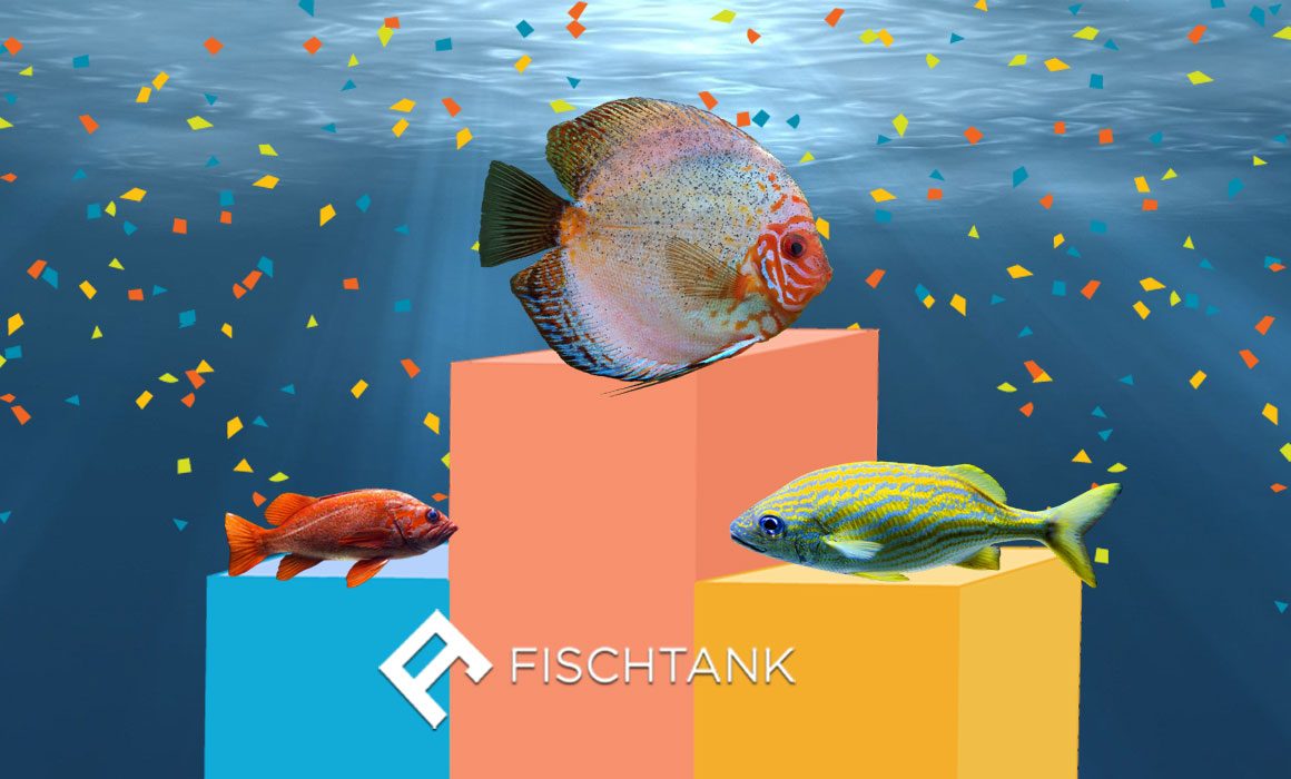 FischTank PR efforts recognized on a national scale