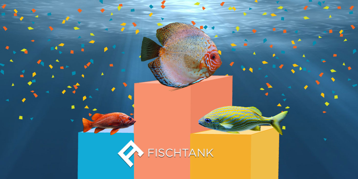 FischTank PR efforts recognized on a national scale